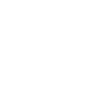 Audio Icon